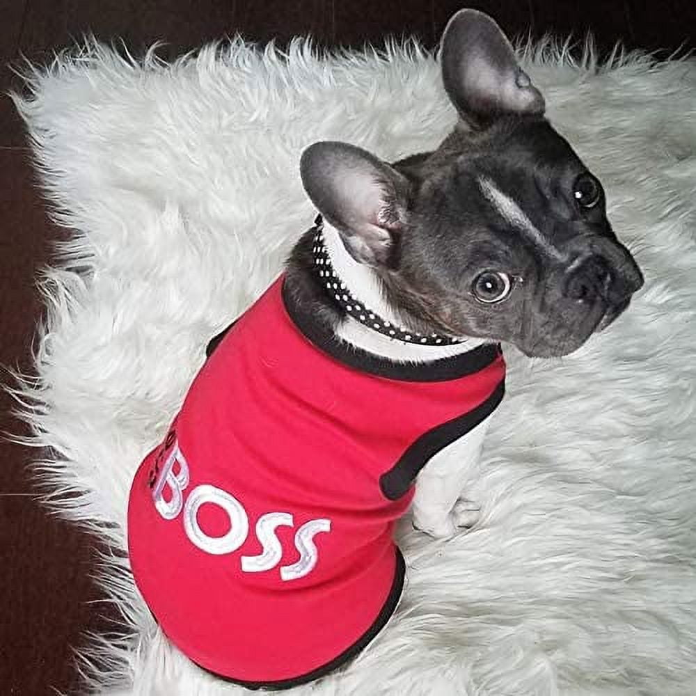 Parisian Pet The Boss Hunde-T-Shirt In Größe 5XL – Lustig Bestickt, Aus Baumwolle