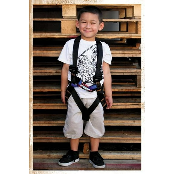Fusion Climb Sky Kids Full body Harness, 2 Gear Loops & D-Ring , Ideal for Zip Lining,Professional Mountaineering, rock climbing, Rappelling safety harness, work safety Belt, Fire Resucing