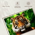 thumbnail image 6 of Elephant Stock Sumatran Tiger Gaze Wall Art - Horizontal Canvas Wall Art - Living Room Wall Decor - Animal Canvas - Green And Brown Decor - 12" x 8", 6 of 8