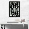 thumbnail image 2 of ARTCANVAS Fungi Mushroom Canvas Art Print by Ernst Haeckel - Size: 26" x 18" (1.50" Deep), 2 of 9
