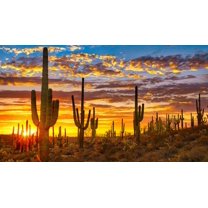 wooden puzzle Desert Sunset with Cacti Intelligent Game Fit togather a magic Art for home Decoration or Prensent 1000 pieces