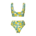 thumbnail image 6 of Rocae Lemons Chamomile Flowers And Leaves for Bikini Set for Women Two Piece Sexy High Swimsuits Split Crossover Bikini Small, 6 of 9