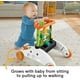 thumbnail image 3 of Panda Walker Toy Fisher-Price para bebés y niños pequeños, 2 caras, velocidad constante, 3 of 6