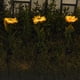 thumbnail image 4 of De Girasol Luz De Estaca De Jardín Luz Led Impermeable Para La Decoración De La Pasarela Del Porche De La Yarda sonducket HA043062-01, 4 of 6