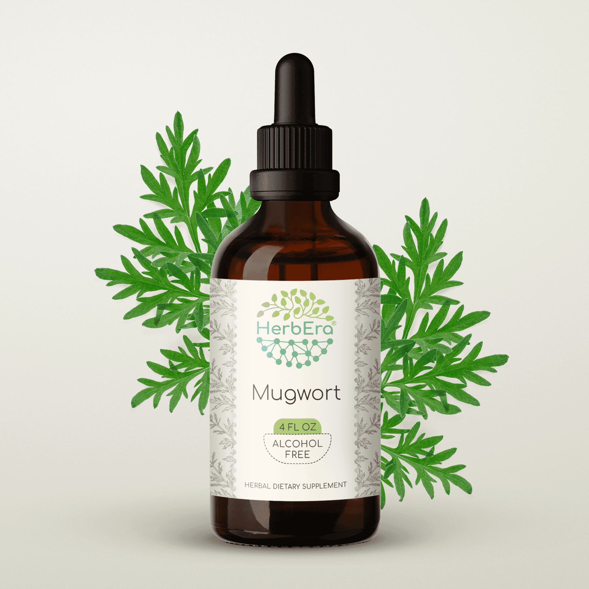 HerbEra Mugwort Tincture, Herbal Dietary Supplement for Women’s Health Support, Mugwort (Artemisia vulgaris) Dried Herb Extract, Natural, Alcohol-Free, Drops 4 oz
