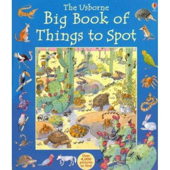 Pre-Owned The Usborne Big Book of Things to Spot (1001 Things to Spot) (Unknown) 1580864961 9781580864961