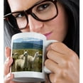 thumbnail image 2 of 3drose, Victory Ranch Alpaca Farm, Mora, New Mexico - Us32 Jmr0361 - Julien Mcroberts, 11oz Mug, 2 of 6