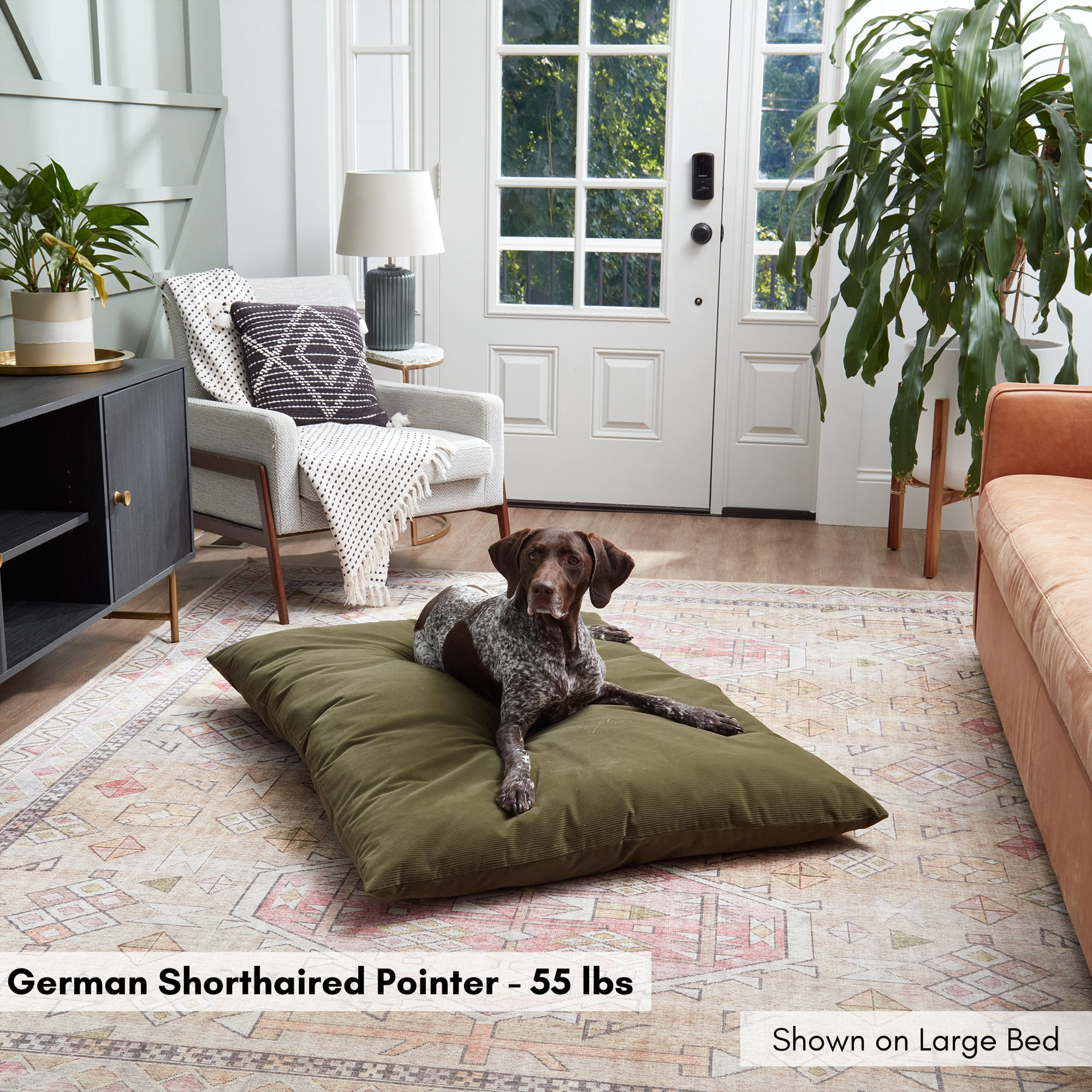 Happy Hounds Charlie Corduroy Reversible Throw Dog Bed, Large (48" x 36"), Sage Green