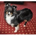 thumbnail image 2 of Vet Therapy Therapeutic Small Fir Hock Support, 2 of 2