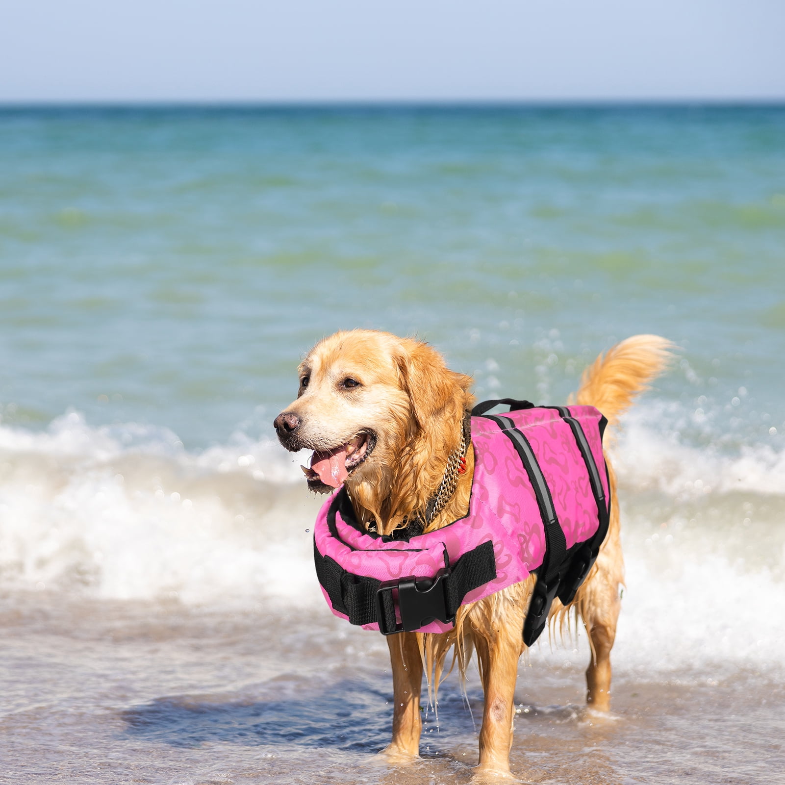 NEWEEN Dog Life Jackets Dog Life Vests for Swimming Beach Boating with High Buoyancy Dog Flotation Vest for Small/Medium/Large Dogs, Blue, M