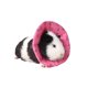 thumbnail image 2 of Collar de cono de hámster erizo, Collar isabelino, bufanda de recuperación, transpirable, suave, conejillo de indias, Collar de enfermería para animales pequeños Sincero Hogar, 2 of 4