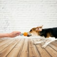 thumbnail image 2 of Dog Rope Toy Interactive Funny Knot Design Dog Chew Rope Puppy Teething Toy, 2 of 10
