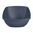 thumbnail image 2 of Petmate Hi-Back Open Top High Sided Cat Litter Box 23" Plastic Cat Litter Pan, Jumbo - XL, Blue, 2 of 10