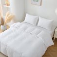 thumbnail image 5 of Ktaxon Queen Size Duvet Cover 3-Piece Set, Bedding Ensemble with 1 Duvet Cover & 2 Pillow Shams, Comforter Exclud, White, 5 of 12