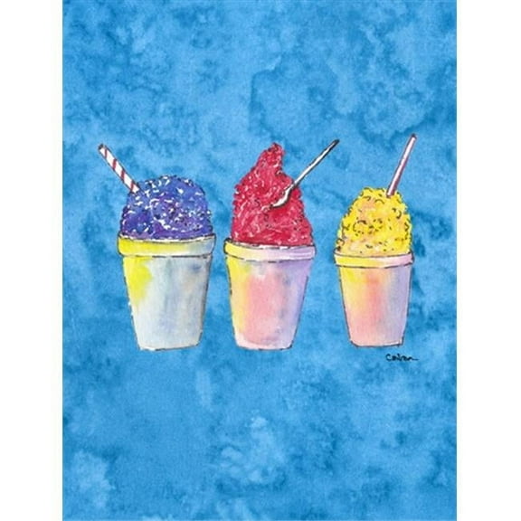 28 x 40 in. Snowballs and Snowcones House Size Canvas Flag