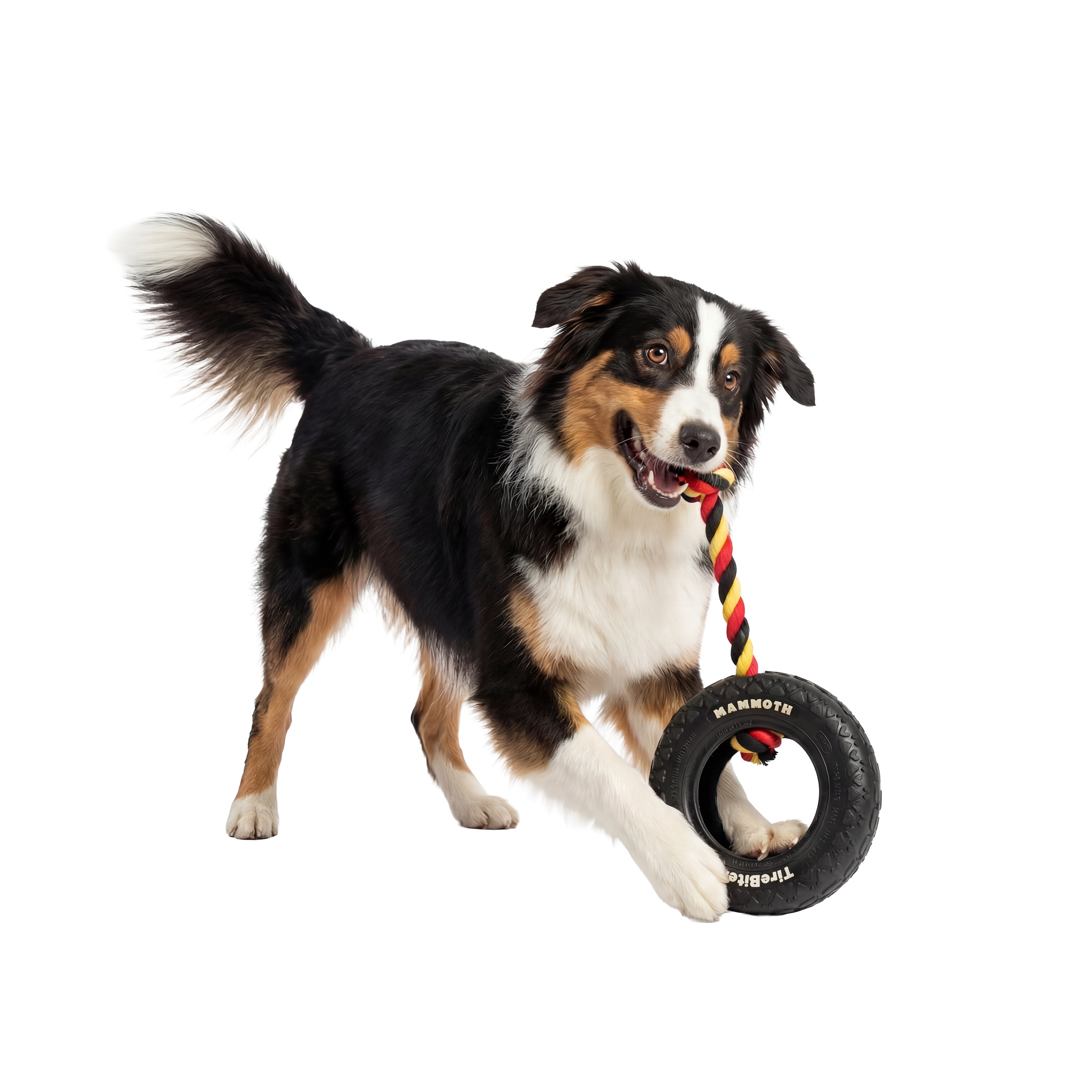 Mammoth TireBiter Original Rubber Dog Toy with Cottonblend Assorted Color Rope, Small 6"