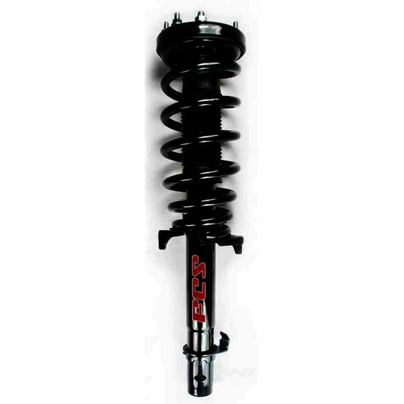 Suspension Strut and Coil Spring Assembly