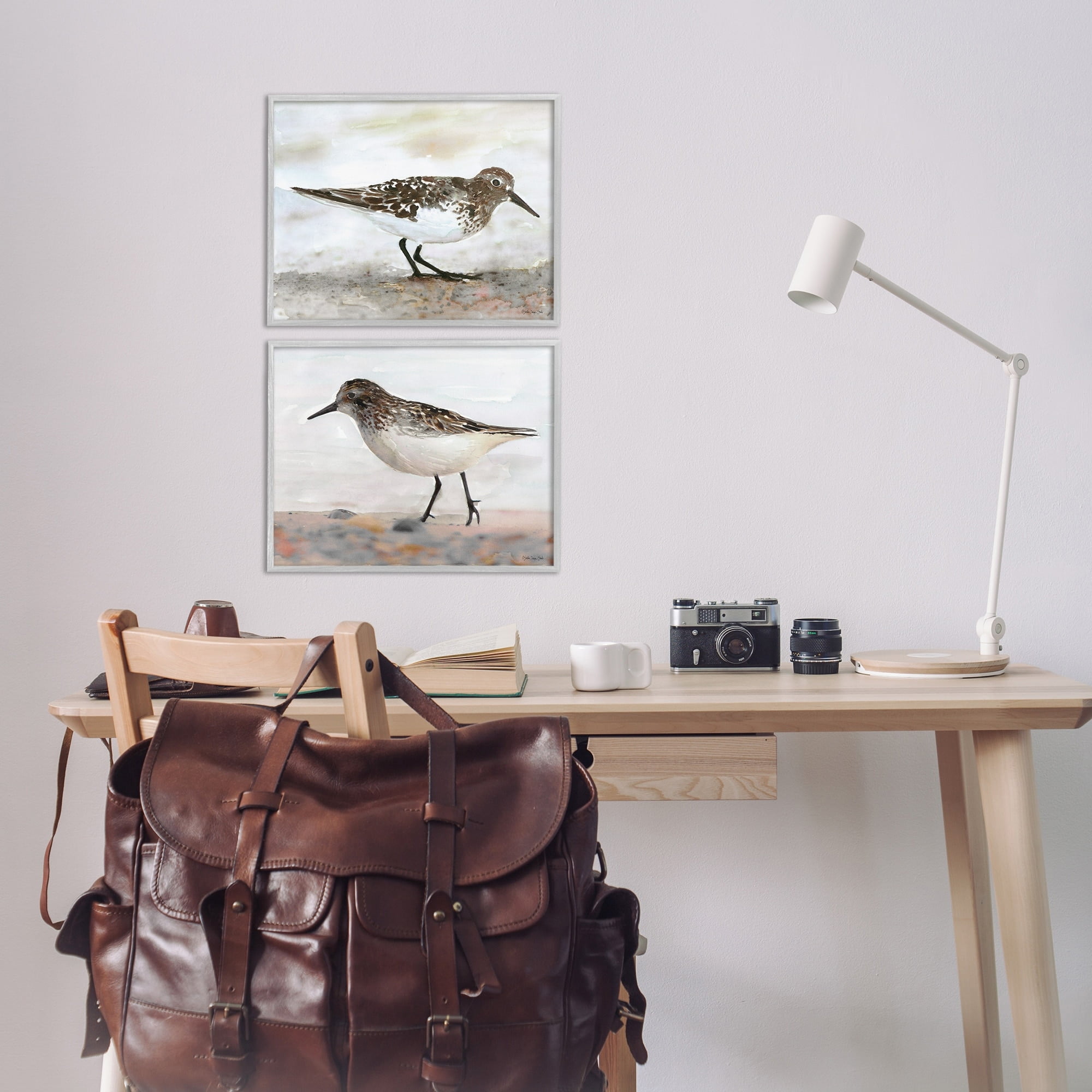 Stupell Industries Sandpipers on Coast Nautical Bird Beach Scene Design by Stellar Design Studio