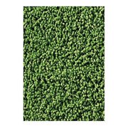 CARPETS FOR KIDS