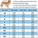 thumbnail image 2 of Dog Vest Puppy Clothes, Pet Basketball Shirt Doggy Outfit, Spring/Summer Dog Tshirt Clothing for Small Medium Large Extra Large Boy Girl Dogs Cats Kit, 2 of 4
