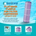 thumbnail image 2 of Hurricane 4 Pack HF8417-01P Platinum Purple Pool Filter Cartridge Replacement, 2 of 7