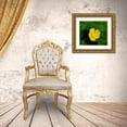thumbnail image 3 of Wild, Jamie and Judy 17x15 Gold Ornate Wood Framed with Double Matting Museum Art Print Titled - Creeping Buttercup, 3 of 4