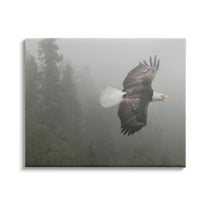 Stupell Industries Soaring Eagle in Nature Animals & Insects Photography Gallery Wrapped Canvas Print Wall Art, 40 x 30