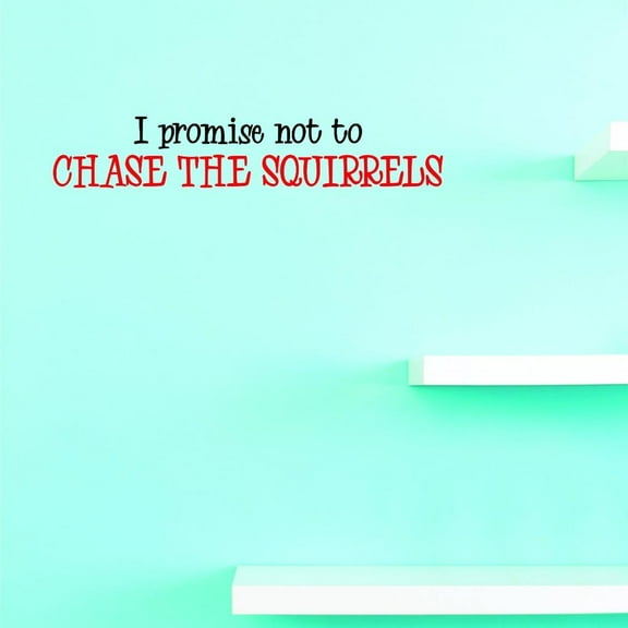 Custom Decals I Promise Not To Chase The Squirrels This Time Wall Art Size: 20 X 30 Inches Color: Multi
