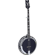 Raven Series 5-String Banjo with Bag