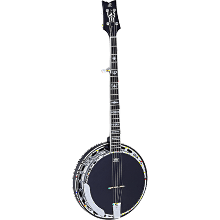 Raven Series 5-String Banjo with Bag