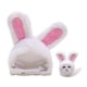 thumbnail image 1 of Gorro Ajustable De Lana De Algodón Cómodo Cálido Lindo Conejo Blanco Para Mascota Guardurnaity PT001289-00, 1 of 6