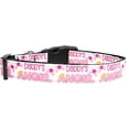 thumbnail image 2 of Pet Dog  Cat Nylon Collar or Leash, "Daddy's Angel", 2 of 2
