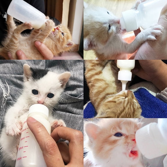 ETHZZLE Pet Nurser Bottles, White, Safe Silicone and PP, Ideal for Small Pets, 1Set