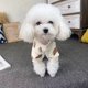 thumbnail image 3 of Suéter para perros, suéteres cálidos para perros, ropa para gatos, abrigo de lana para mascotas para cachorros, perros pequeños, medianos y grandes, (SBeige) Shuxiu Wang 9024715006608, 3 of 5