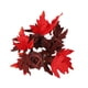thumbnail image 4 of Corona de velas de Halloween, anillo de vela, corona floral, corona de hojas de arce para interiores, 4 of 9