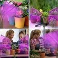 thumbnail image 6 of Grow Light,4 Head Grow Lights for Indoor Plants with Red Blue Spectrum, 4/8/12H Timer, 10 Dimmable Brightness for Indoor Succulent Plants Growth, 3 Switch Modes, Adjustable Gooseneck, 6 of 8