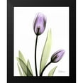 thumbnail image 2 of Koetsier, Albert 12x14 Black Modern Framed Museum Art Print Titled - Tulip in Full Bloom, 2 of 5