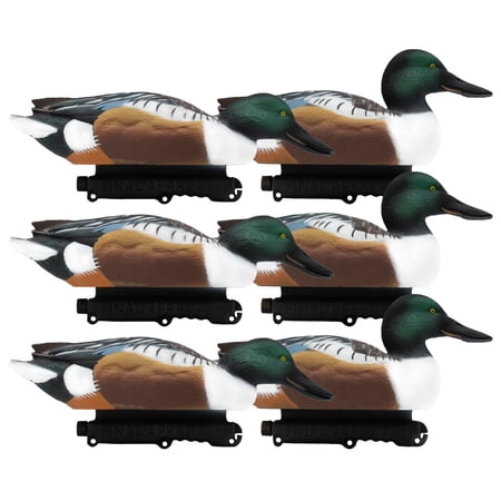 Final Approach Live Floating Northern Shovelers Decoy 6 Pack