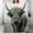 Flannel Blanket Highland Cow Close-Up blanket 30"x40" 1, variant on GXFC Paris Love with Heart blanket, comfortable and soft, warm casual blanket, printed design, winter sofa dormitory home decoration, must-have travel product. Size is 30x40 inches.