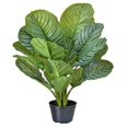 thumbnail image 1 of 34 in. Potted Calathea Plant Faux Plants & Trees, 1 of 1