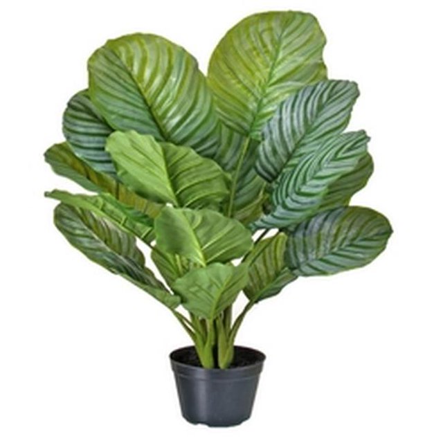 34 in. Potted Calathea Plant Faux Plants & Trees