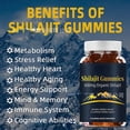 thumbnail image 2 of Gomitas de Shilajit, 600 mg de Shilajit orgánico, Gomitas de resina de Shilajit, Suplemento de Shilajit Gomitas de Shilajit Himalayan Organic, 2 of 3