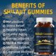 thumbnail image 2 of Gomitas de Shilajit, 600 mg de Shilajit orgánico, Gomitas de resina de Shilajit, Suplemento de Shilajit Gomitas de Shilajit Himalayan Organic, 2 of 3