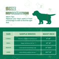 thumbnail image 2 of Pañales desechables para perros IMMCUTE, 50 unidades, tamaño mediano, para hombre, 2 of 8