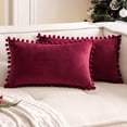 thumbnail image 2 of 2PCS Velvet Throw Pillow Covers, Cozy Soft Couch Pillow Covers with Pom-poms for Farmhouse Cushion Sofa Bedroom Home Decor, 12x20inch, 2 of 6