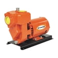 thumbnail image 1 of EVANS EQUIPO DE RIEGO AUTOCEBANTE 2.0HP 2X2 AC2ME200 negro 1, 1 of 3