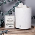 thumbnail image 4 of Carolina Candle Soothing Eucalyptus 2.46 oz Wax Melt, Aromatherapy, 6 Cube, White, 4 of 5