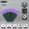 thumbnail image 4 of 70 5mm LED Purple Lights, 24' Halloween Lights Christmas Lights LED String Lights Mini Lights Holiday Lights Halloween Decorations Outdoor, 4 of 7