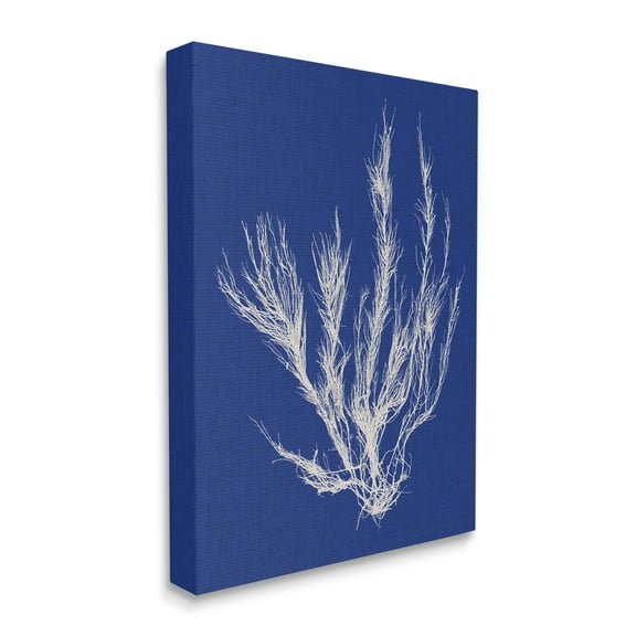 Stupell Home Décor Coral Seaweed Blue White Beach Design Canvas Wall Art by Vision Studio