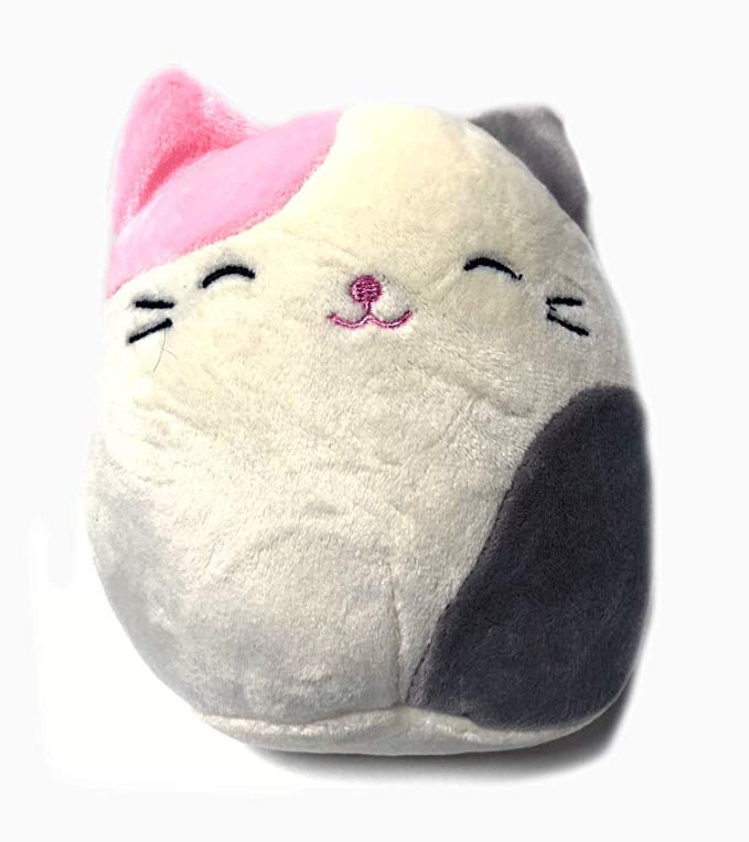 squishmallows cameron the cat